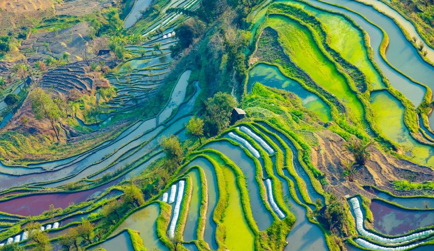 金秀产品视频拍摄